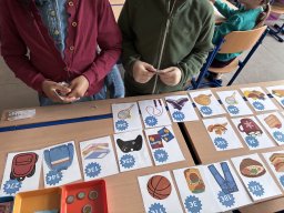 Les apprentissages des Ouistitis